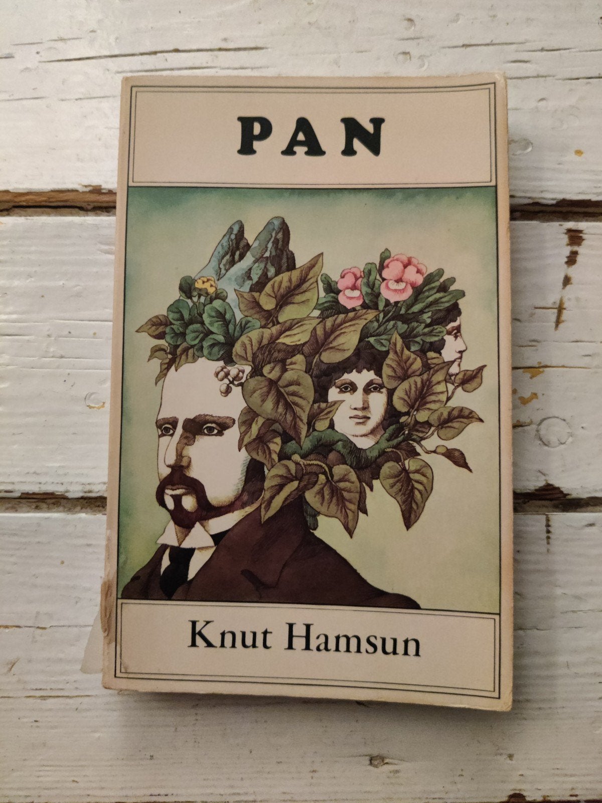 Pan - Knut Hamsun, Ophalen of Verzenden