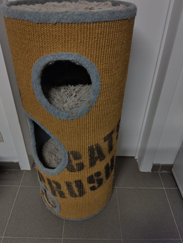 griffoir pour chat, Enlèvement, Utilisé, Griffoir