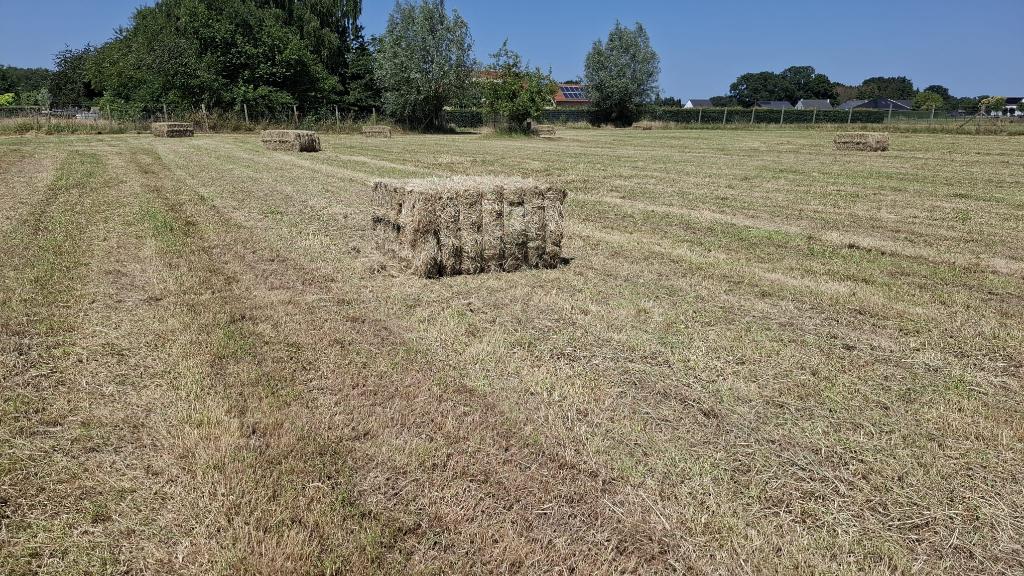 Grote pakken hooi, Dieren en Toebehoren, Dierenvoeding, Ophalen