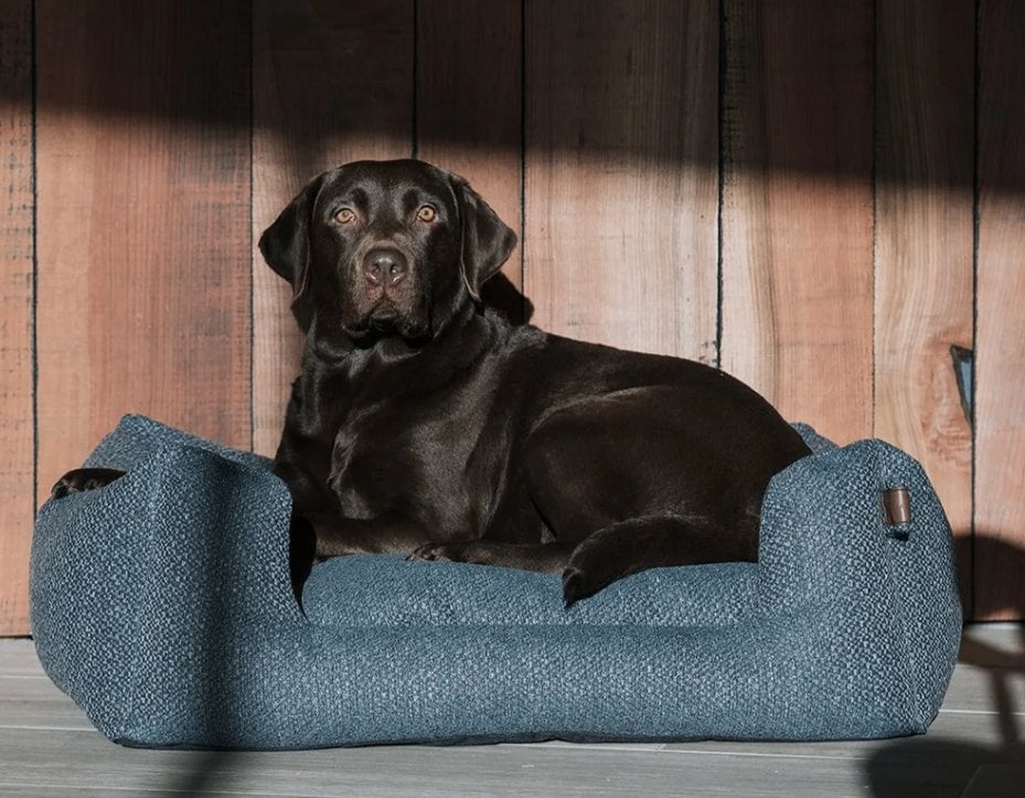 hondenmand Fantail Snooze Endurance Bed, Ophalen, Gebruikt, Stof