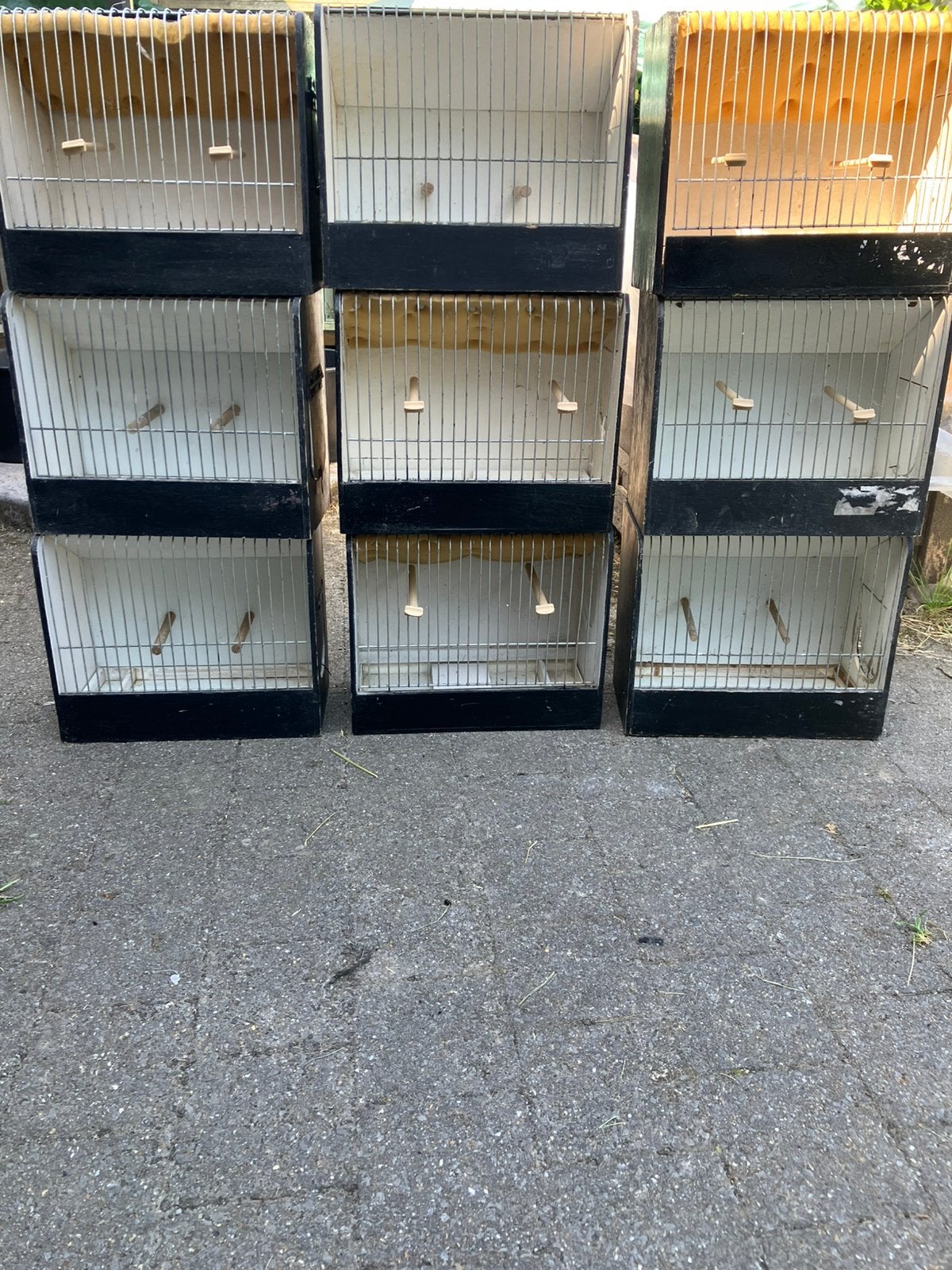 10 TAL TT KOOIEN GRASPARKIETEN VANAF 8 EURO/STUK, Dieren en Toebehoren, Ophalen, Zo goed als nieuw, Hout, Overige typen