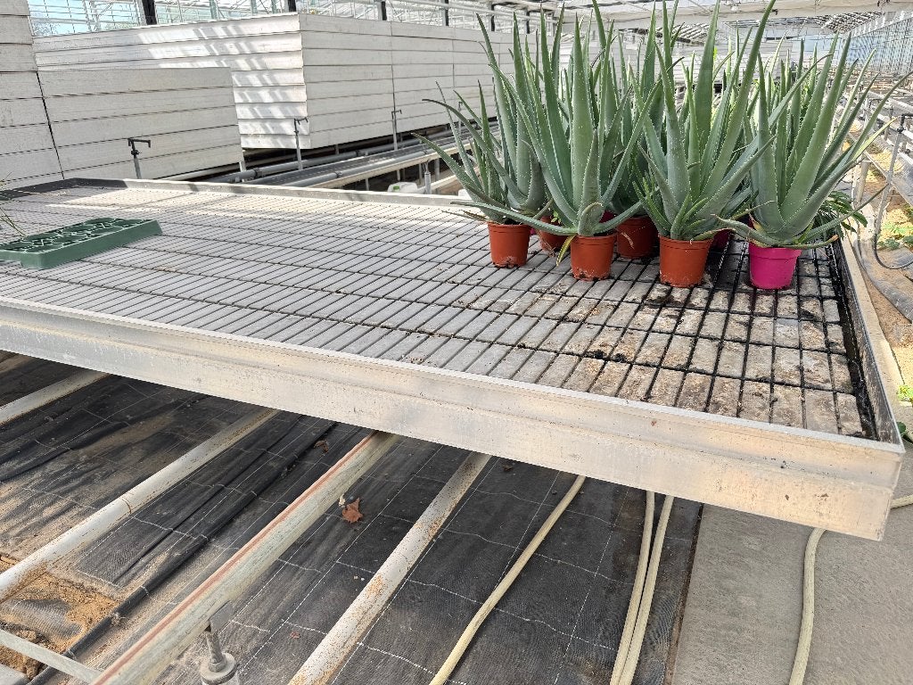 kweektafel, Tuin en Terras, Kweekspullen, Ophalen, Gebruikt, Kweektafel