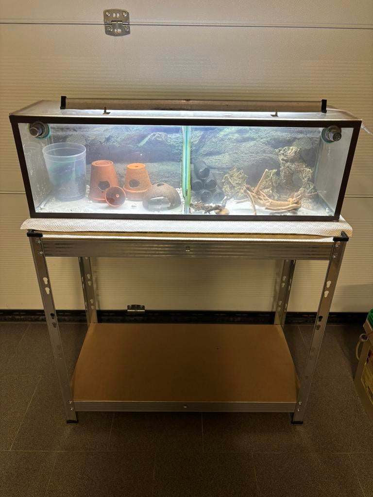 2 delig aquarium, Dieren en Toebehoren, Ophalen, Gebruikt, Leeg aquarium