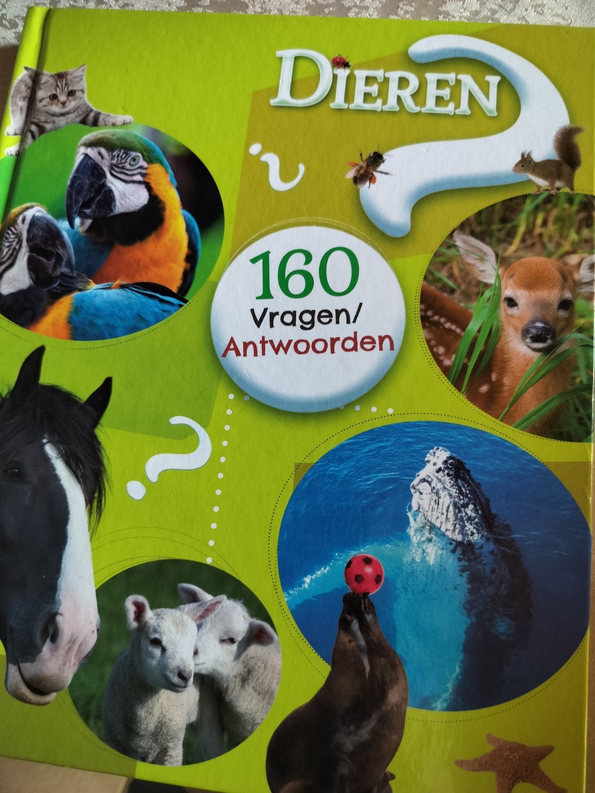 boek dieren 160 vragen / antwoorden, Boeken, Ophalen of Verzenden