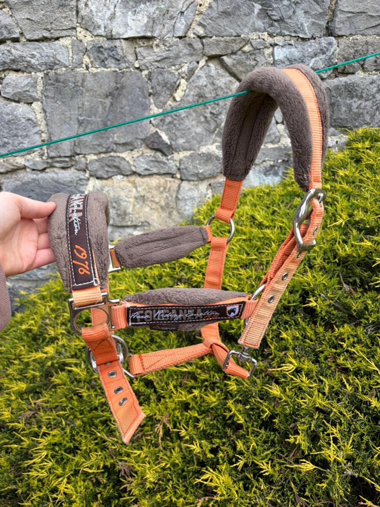 Licol en bon état taille cheval/full, Animaux & Accessoires, Enlèvement ou Envoi, Utilisé, Autres espèces
