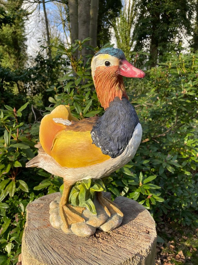 Mandarijn eend, vijver, tuin, gazon, boerderij 40cm, Ophalen, Nieuw, Kunststof, Dierenbeeld