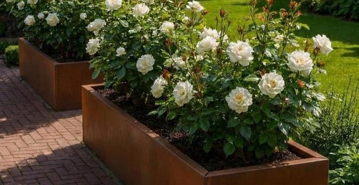 Jardinière rectangulaire en acier Corten | Différentes, Enlèvement ou Envoi, Balcon