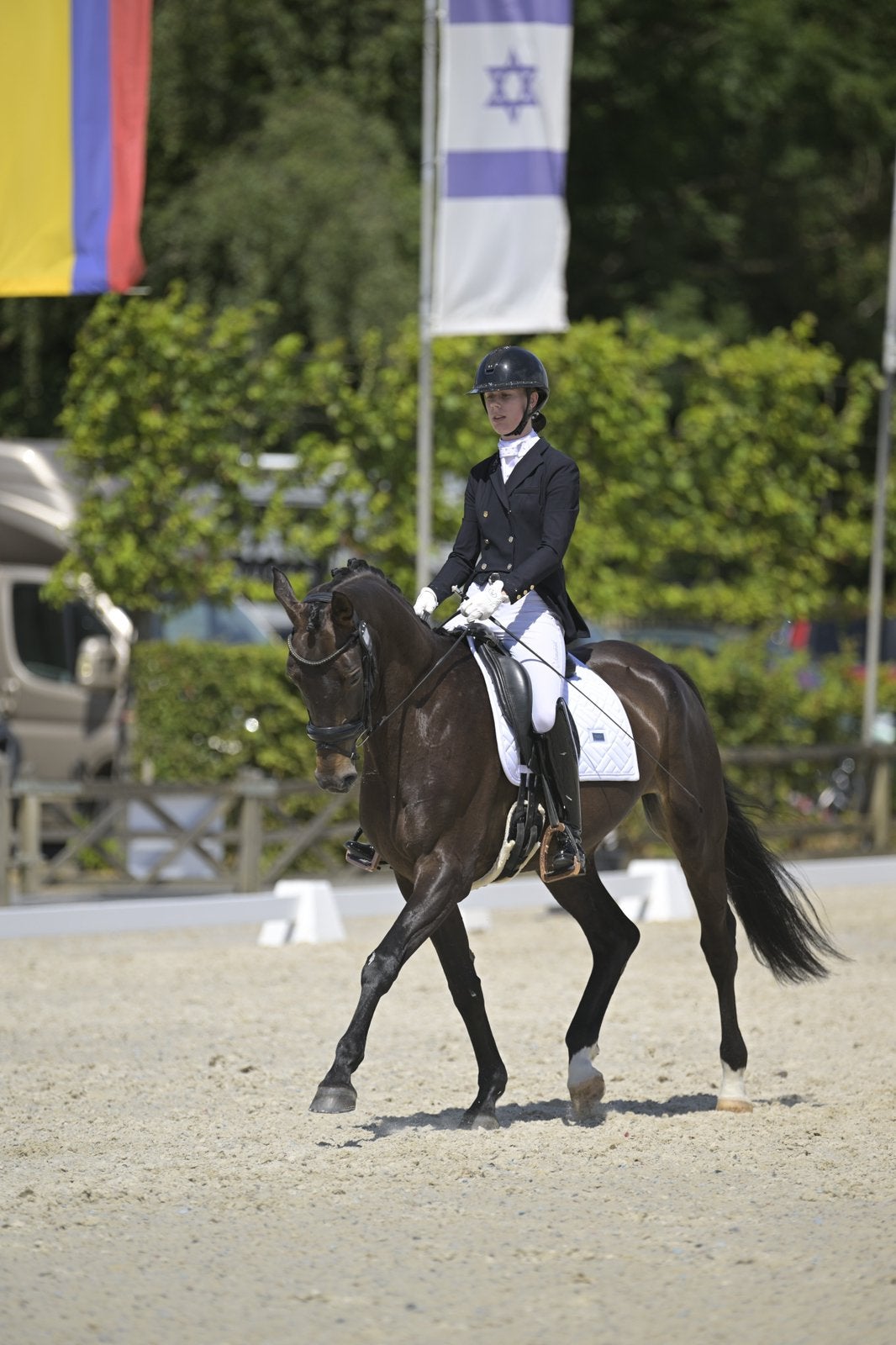 Knappe 7 jarige merrie, Dieren en Toebehoren, Paarden, Merrie, Met stamboom, M, Dressuurpaard
