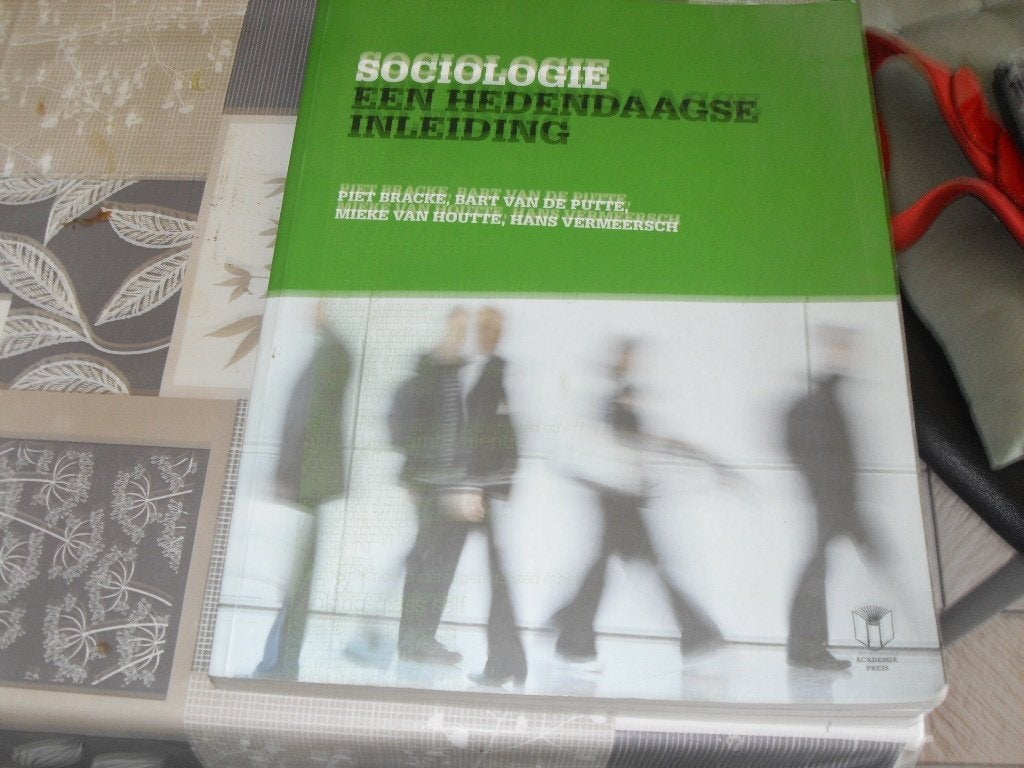 sociologie piet bracke, Ophalen of Verzenden, Gelezen