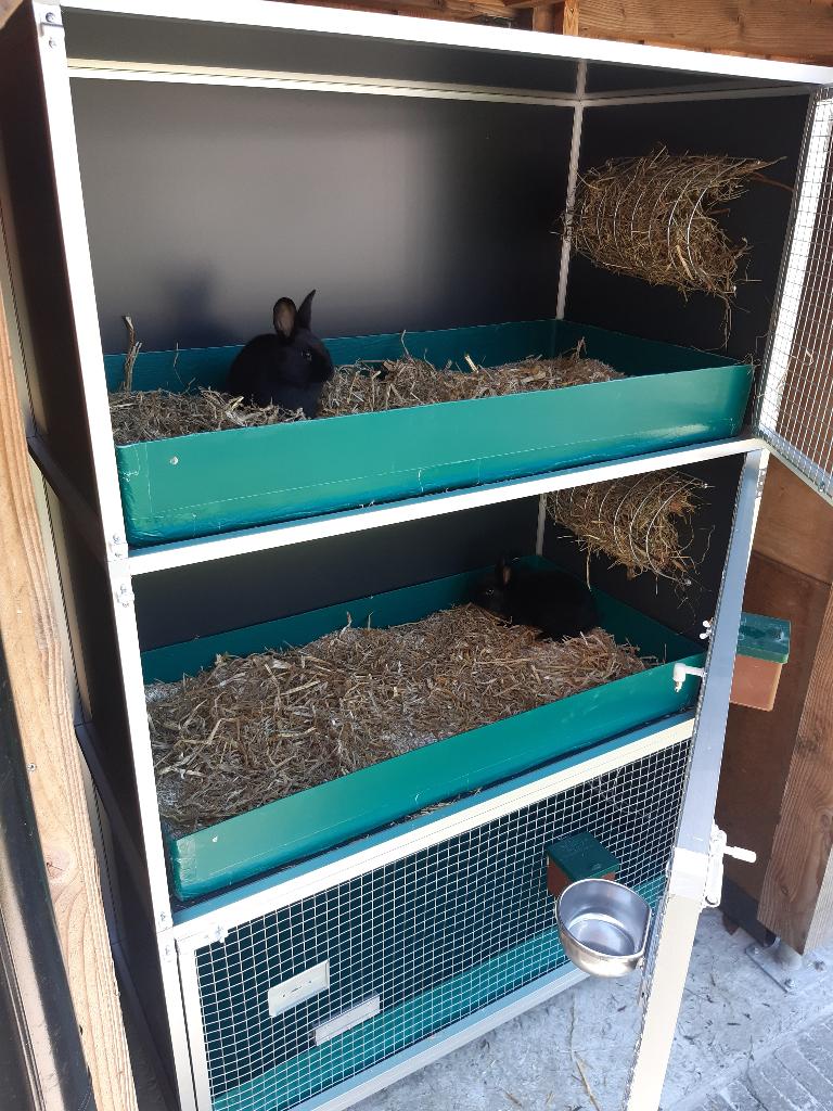 clapier, Animaux & Accessoires, 90 cm ou plus, 75 à 110 cm, Cage, Comme neuf