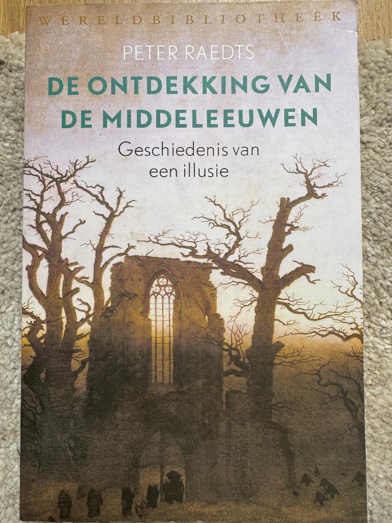 De ontdekking van de Middeleeuwen - Raedts, Ophalen of Verzenden, Europa