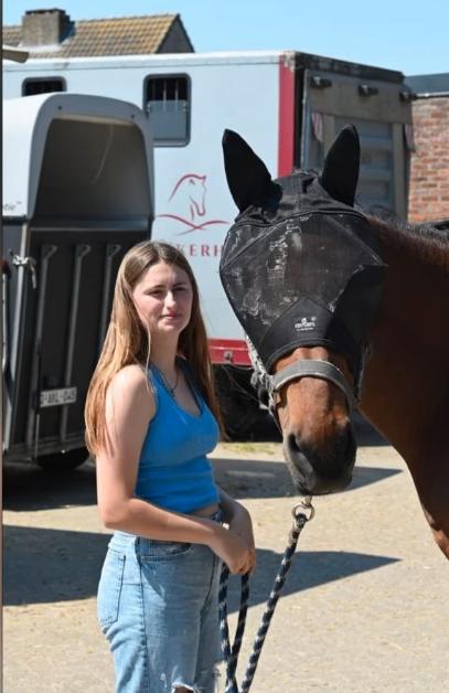 Stalhulp aangeboden / werk tussen de paarden gezocht