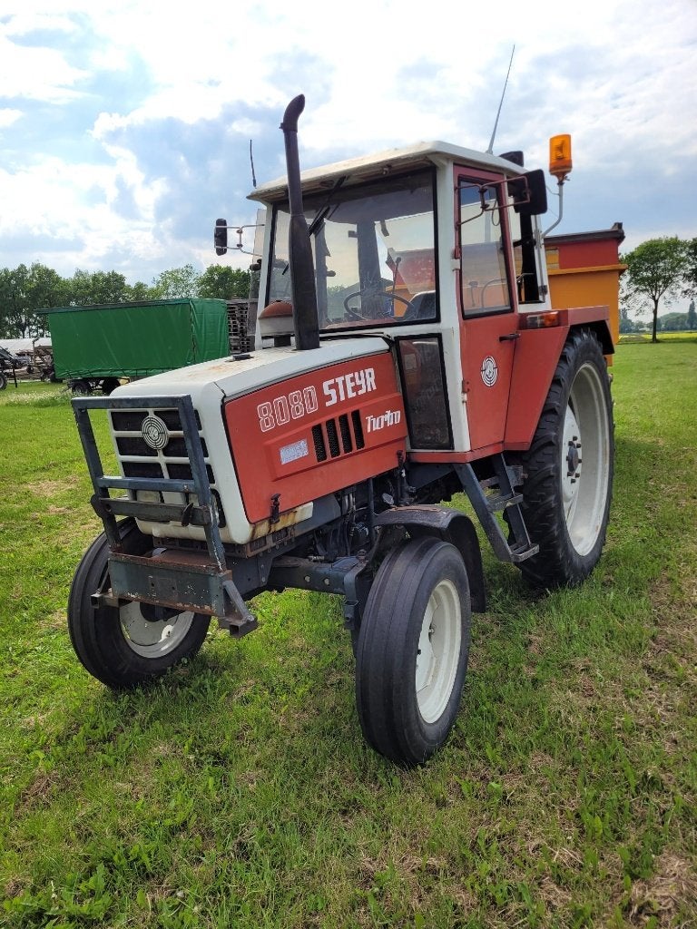 Steyr 8080, Jardin & Terrasse, Bulbes & Semences, Enlèvement