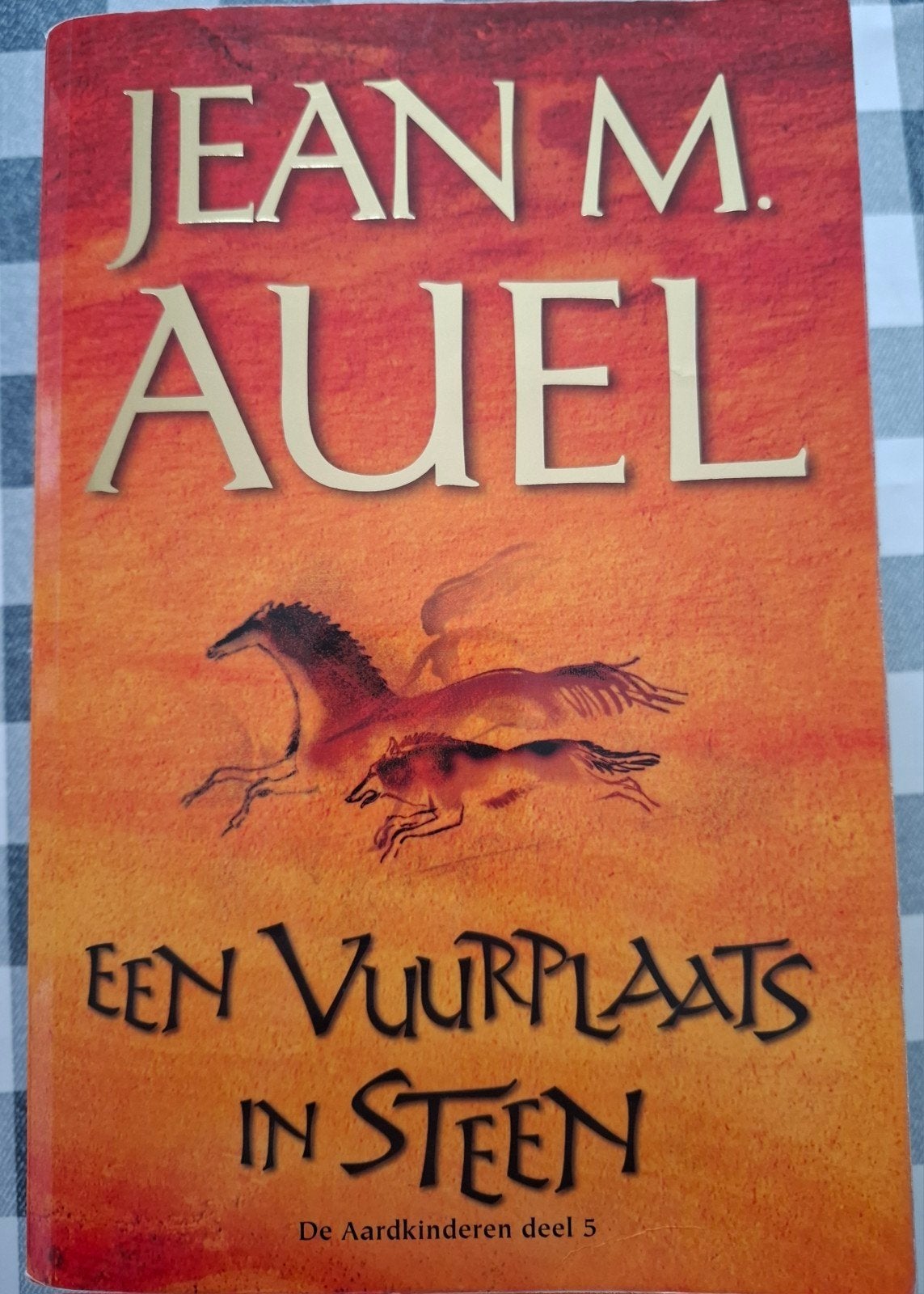 J.M. Auel - 5 Een vuurplaats in steen, Boeken, Ophalen, Gelezen, J.M. Auel