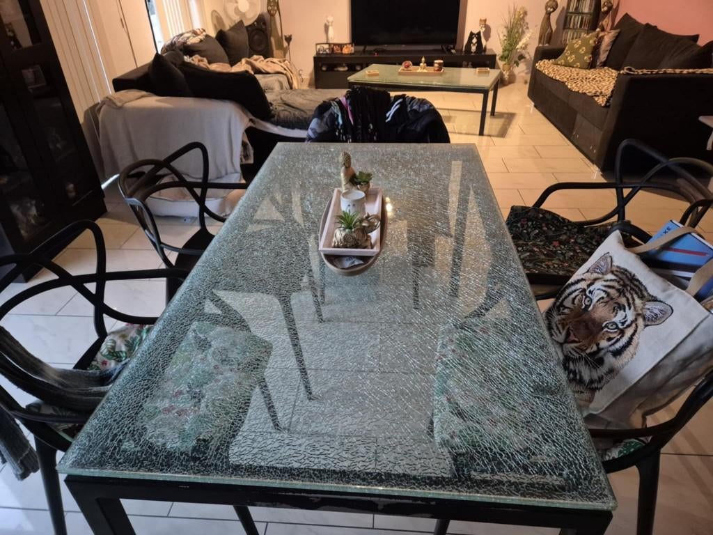 JE VEND PAS CHERE, 100 à 150 cm, Cinq personnes ou plus, Verre, EN VERRES BRISEZ