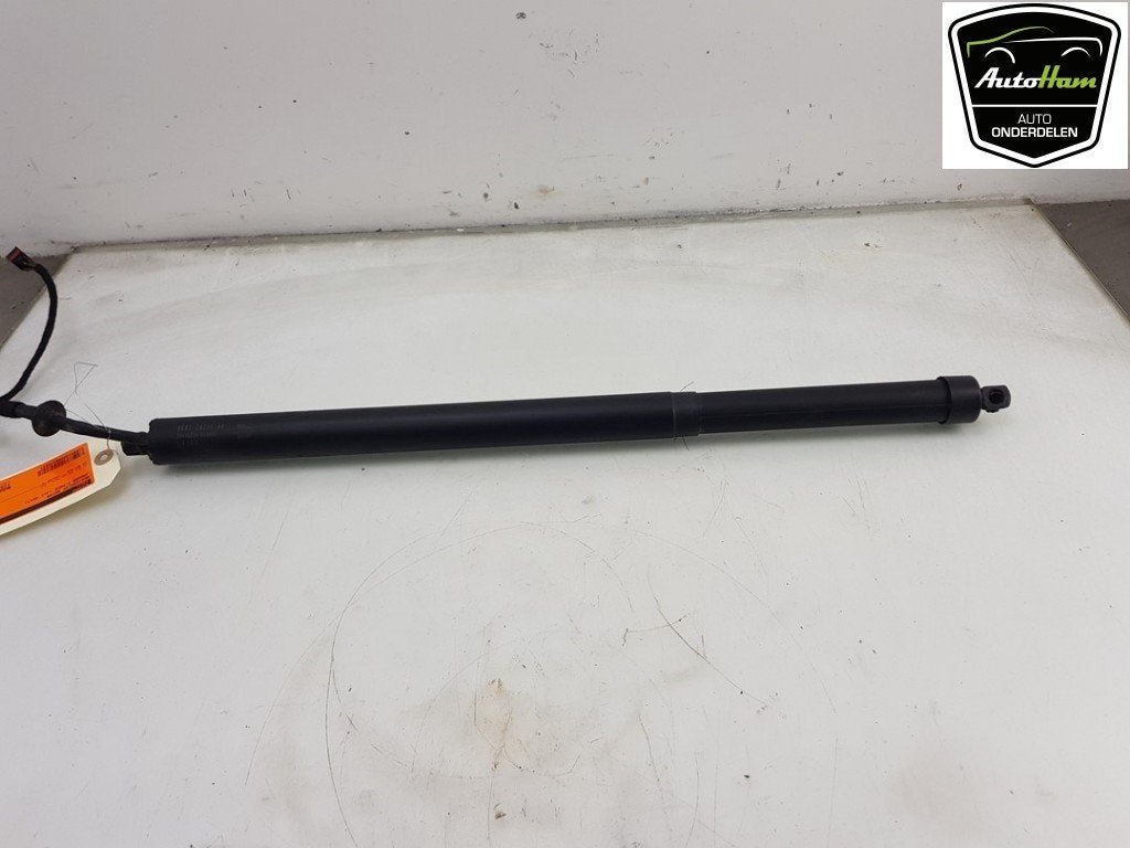 ACHTERKLEP MOTOR Jaguar F-Pace (01-2015/12-2025), Gebruikt, Jaguar, Achterklep