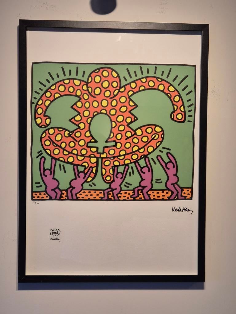 Keith Haring Litho, Enlèvement