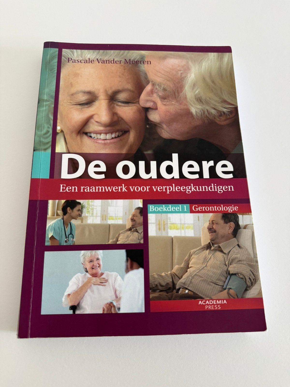 De oudere - Raamwerk voor verpleegkundigen, Livres, Enlèvement ou Envoi, Utilisé, Pascale Vander Meeren