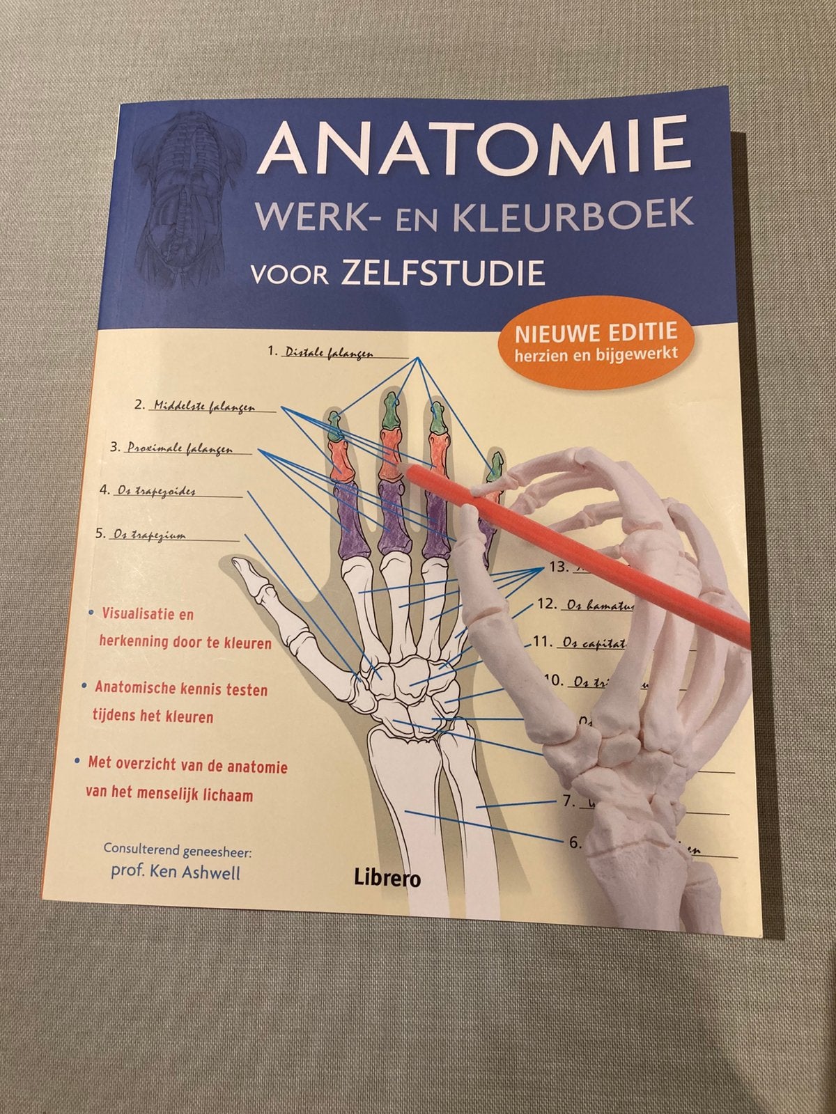 Anatomie werk- en kleurboek voor zelfstudie, Ophalen of Verzenden, Nieuw, Medisch