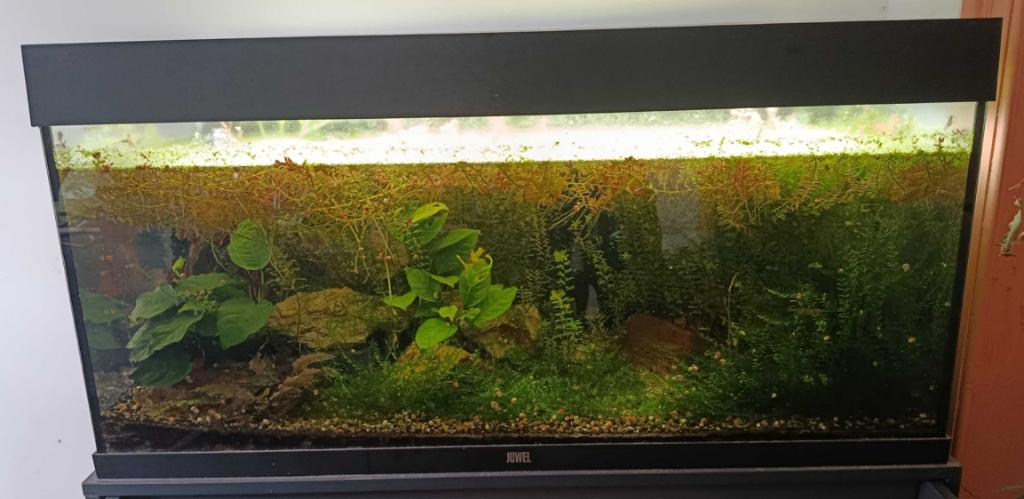 Juwel200L aquariumfiltereenheid — compleet en functioneel, Ophalen, Gebruikt, Overige typen, Verwarming