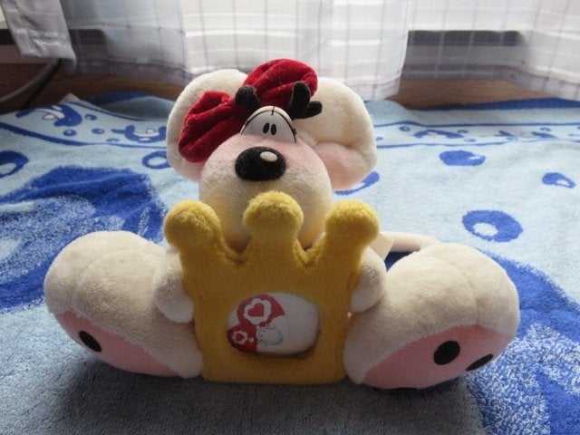 Knuffelbeer: Diddlina Princess met fotokader - nieuw, Ophalen of Verzenden, Diddlina, Nieuw, Knuffel