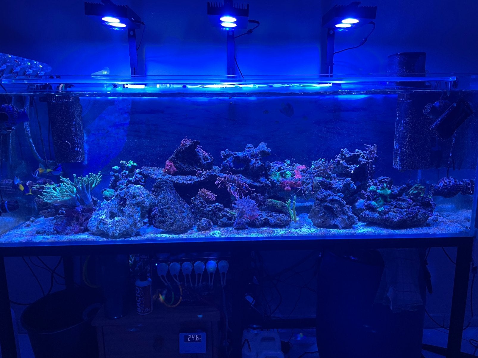 Aquarium marin et vivant a vendre, Enlèvement, Pompe, Comme neuf, Tunze