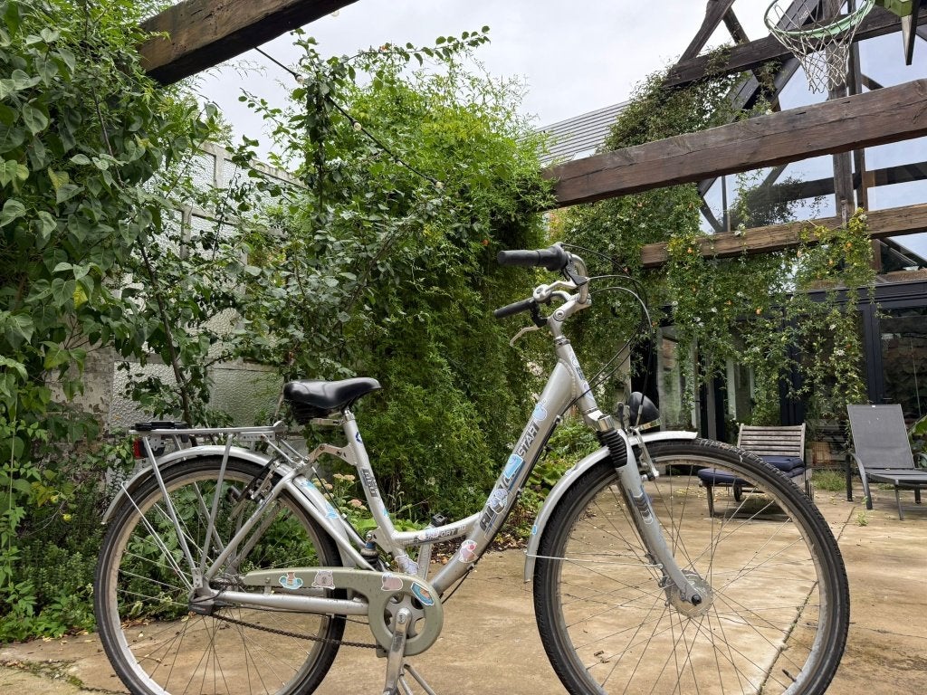 Dames fiets, 53 tot 56 cm, Ophalen, Gebruikt, Velgrem
