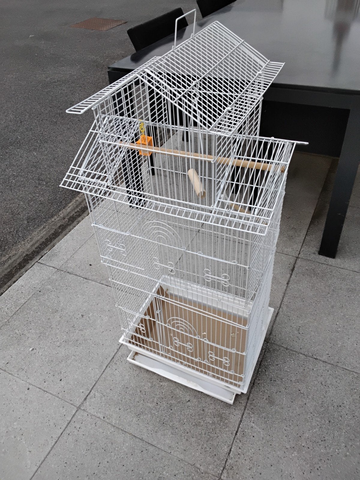 Vogels, Dieren en Toebehoren, Vogels | Parkieten en Papegaaien