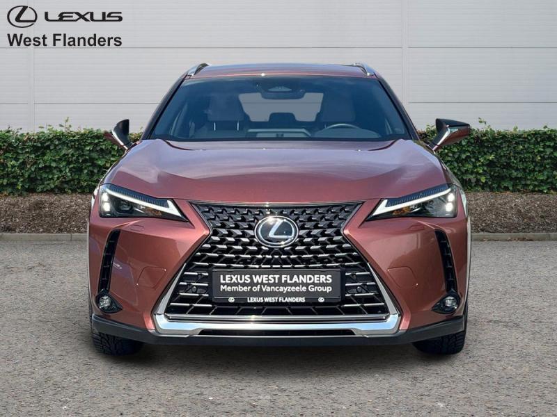 Lexus UX300H Business Line+cam+gps+sens V+A, Automaat, Euro 6, Bruin, 5 deurs