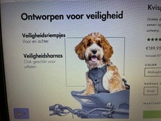 Kvisp honden fietsmand, Enlèvement, Comme neuf
