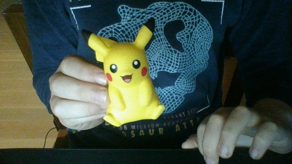 pokémon Pikachu, Collections, Enlèvement, Comme neuf