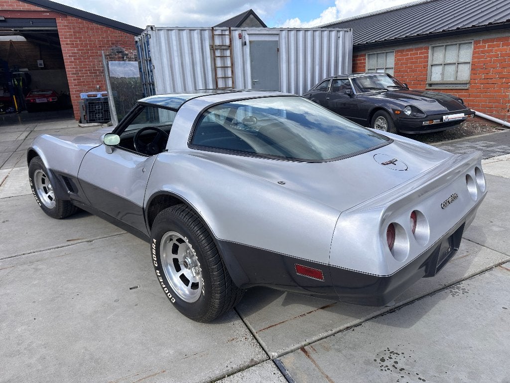 1981 Chevrolet Corvette C3, foto 8
