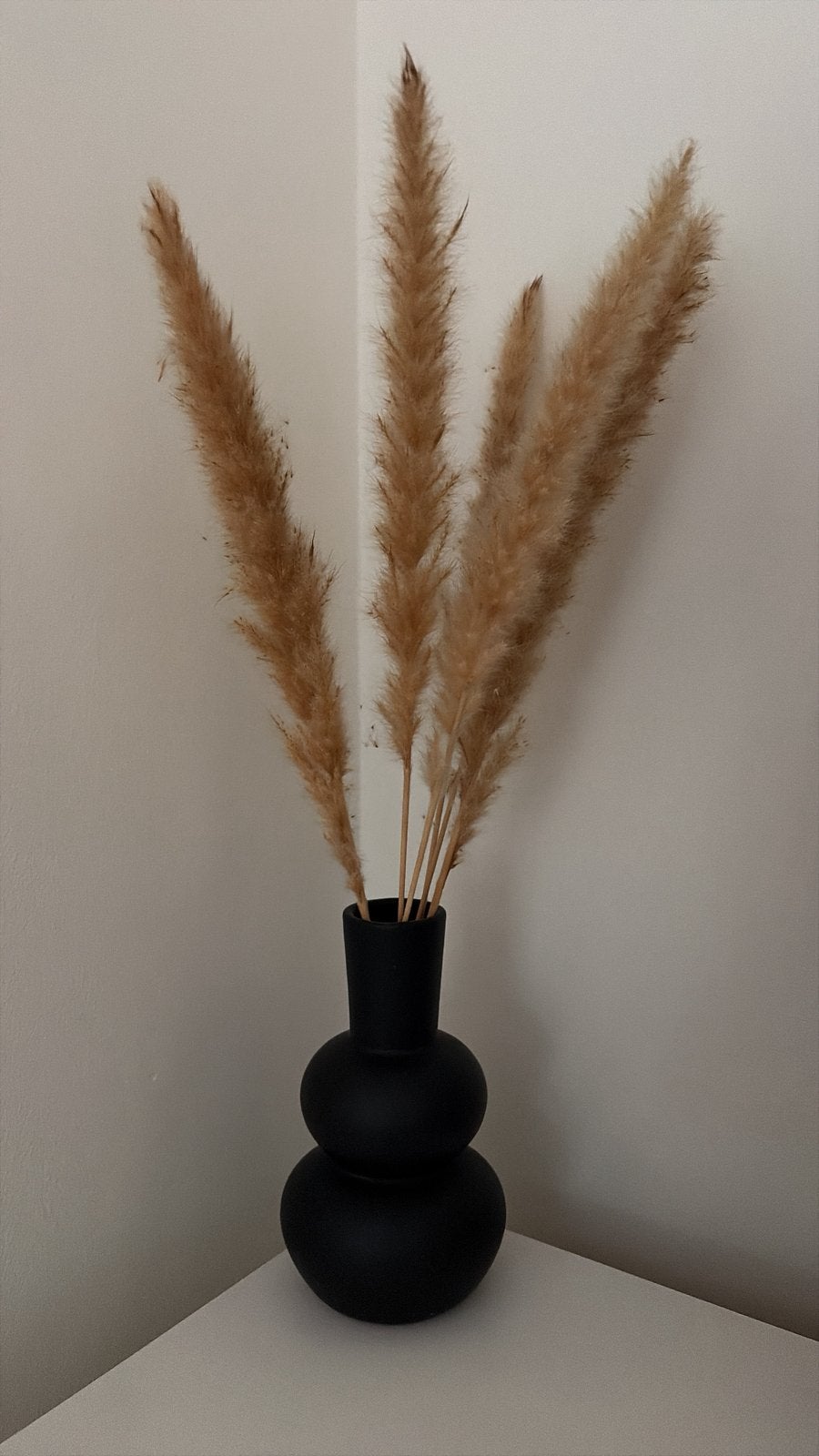 Vase décoratif, Enlèvement, Utilisé, Noir