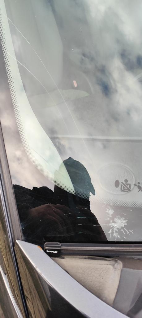 Renault, Autos, Renault, Particulier, Scénic, ABS, Régulateur de distance, Airbags, Air conditionné, Alarme, Ordinateur de bord