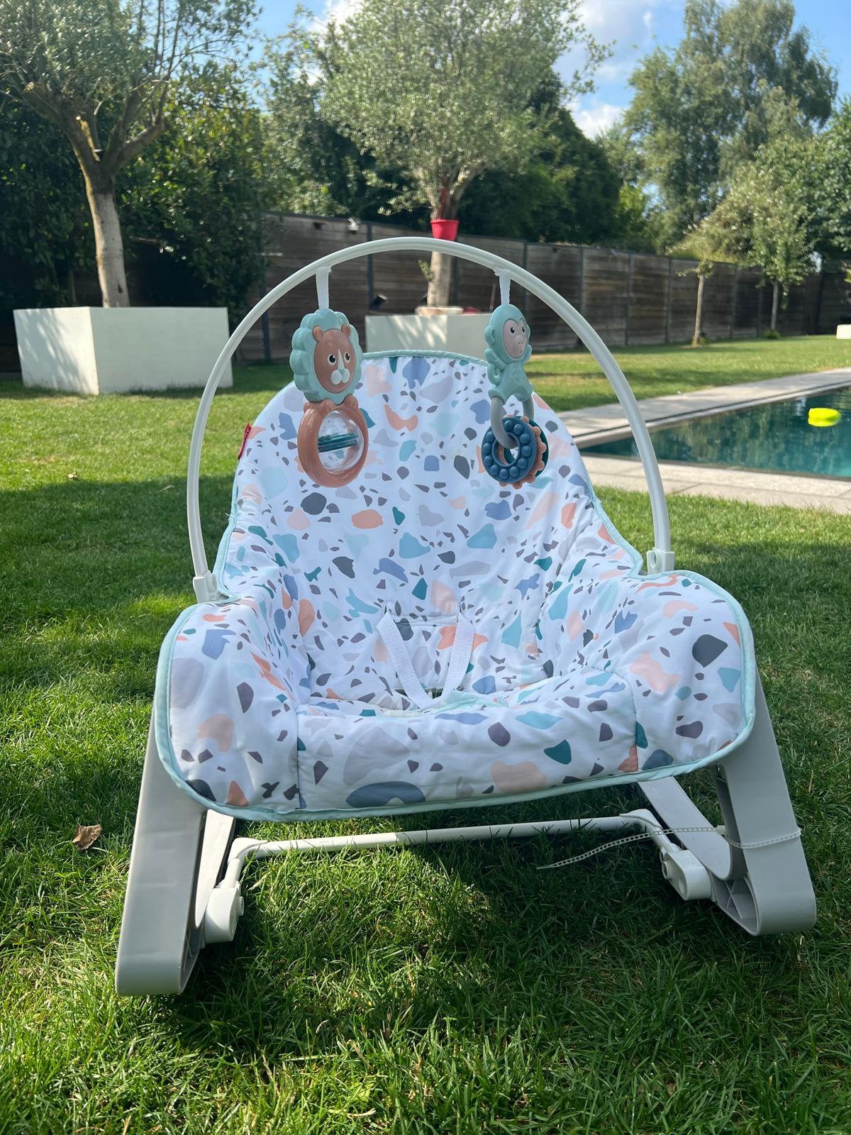 Fisher-Price 2-in-1 Evolutieve Wipstoel, Enfants & Bébés, Jouets | Fisher-Price, Enlèvement, Comme neuf