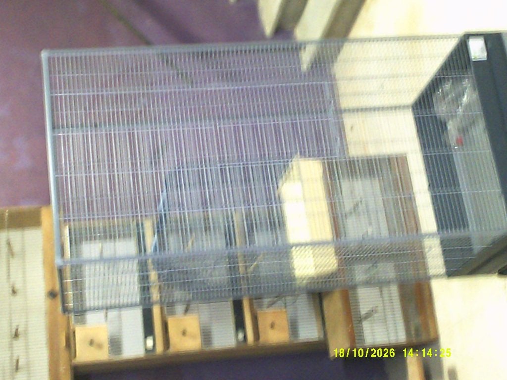 vogelkooien te koop, Enlèvement, Comme neuf, Bois, Cage d'élevage