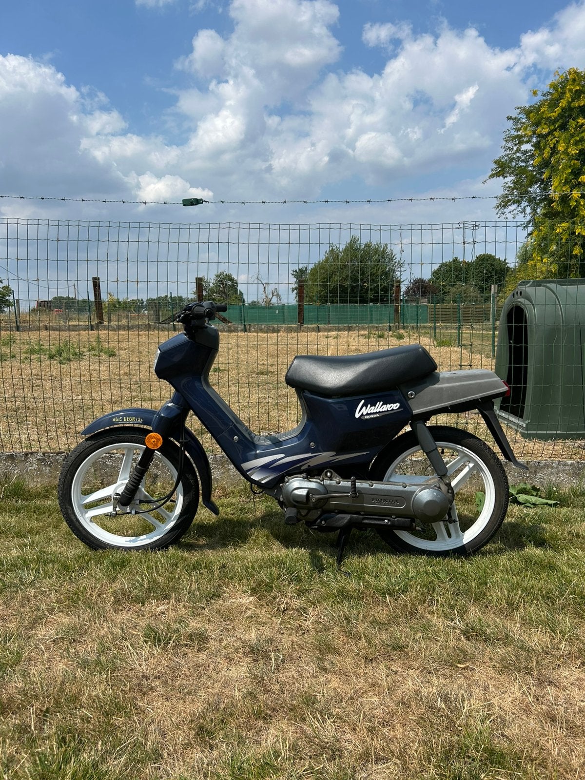 Honda Wallaroo | B Klasse | 6200KM | Papieren van verlies, Fietsen en Brommers, Brommers | Honda, Ophalen, Overige modellen, 49 cc
