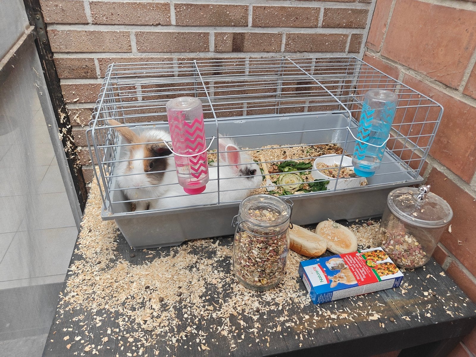 konijnen met alles bij, Dieren en Toebehoren, Ophalen