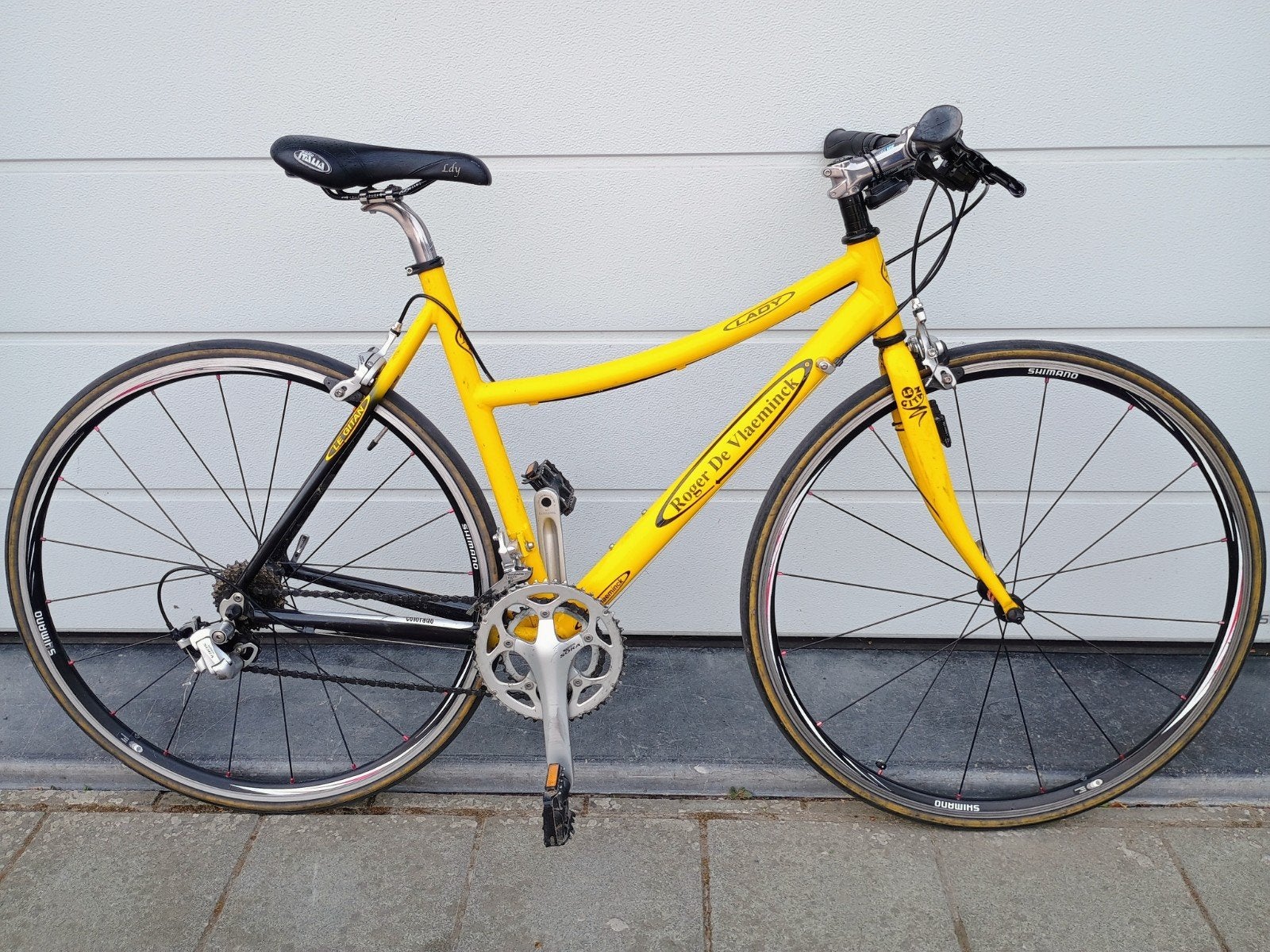 Roger de Vlaeminck Dames(sport)fiets, Fietsen en Brommers, 28 inch, Gebruikt, Velgrem, 15 tot 20 versnellingen