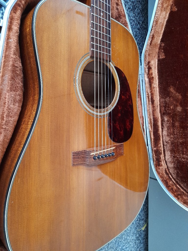 MARTIN   SANTA CRUZ  GUITAR COLLECTION, Ophalen of Verzenden