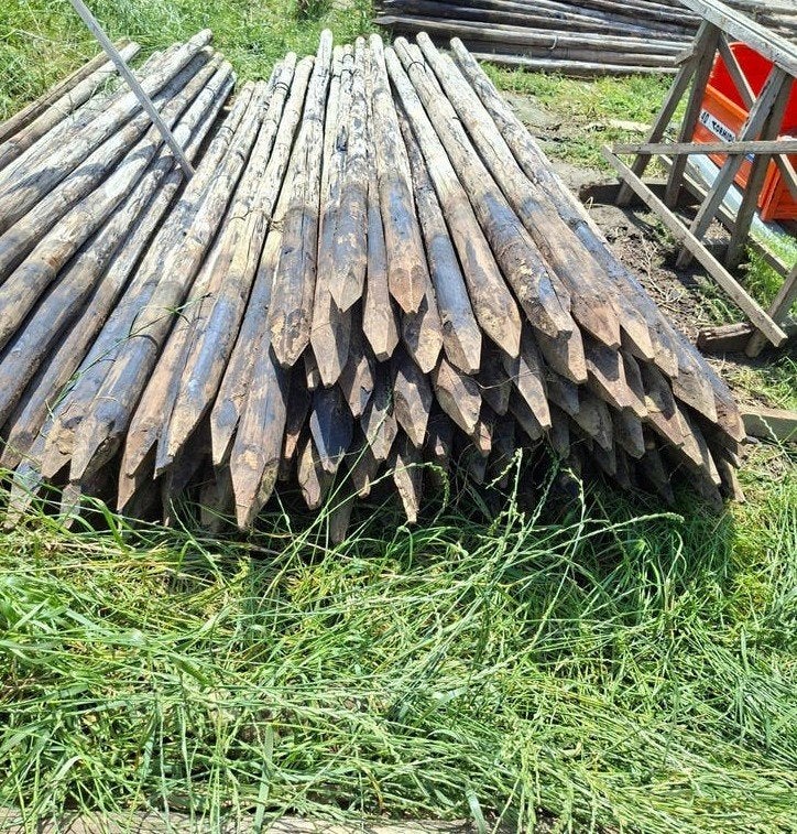 weidepalen 117 stuks