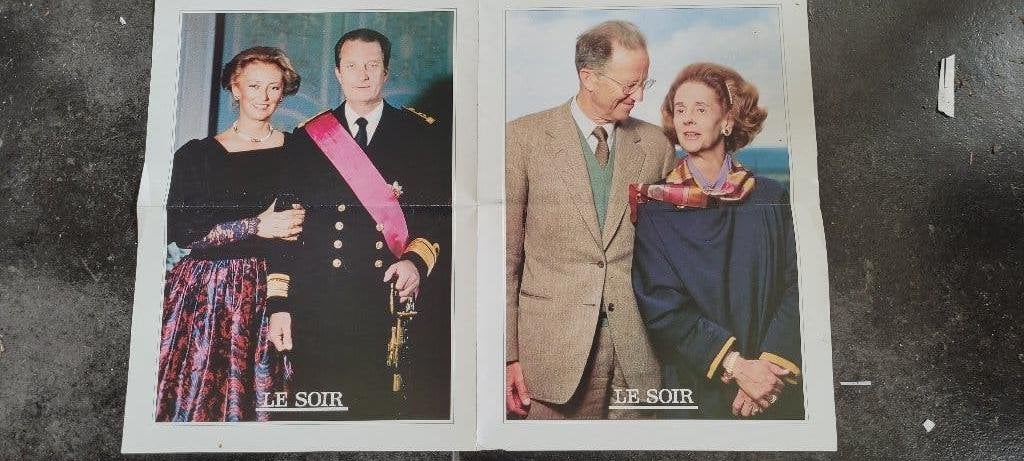 Poster Arbre Généalogique Famille Royale, Collections, Envoi, Utilisé, Magazine ou livre