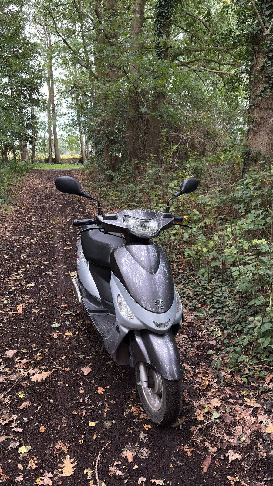 Peugot V clic B klasse, Vélos & Vélomoteurs, Autres modèles, Comme neuf, Classe B (45 km/h), Enlèvement