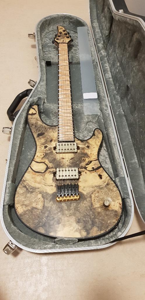 Mayones Regius 6 (Master grade), Muziek en Instrumenten, Ophalen, Fender