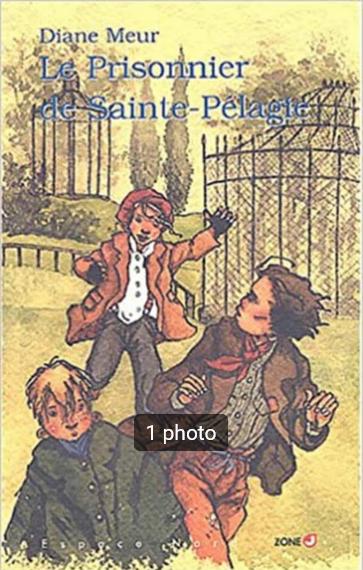 „De gevangene van Sainte-Pélagie” Diane Meur (2003) NIEUW!, Diane Meur, Nieuw, Ophalen of Verzenden, Fictie