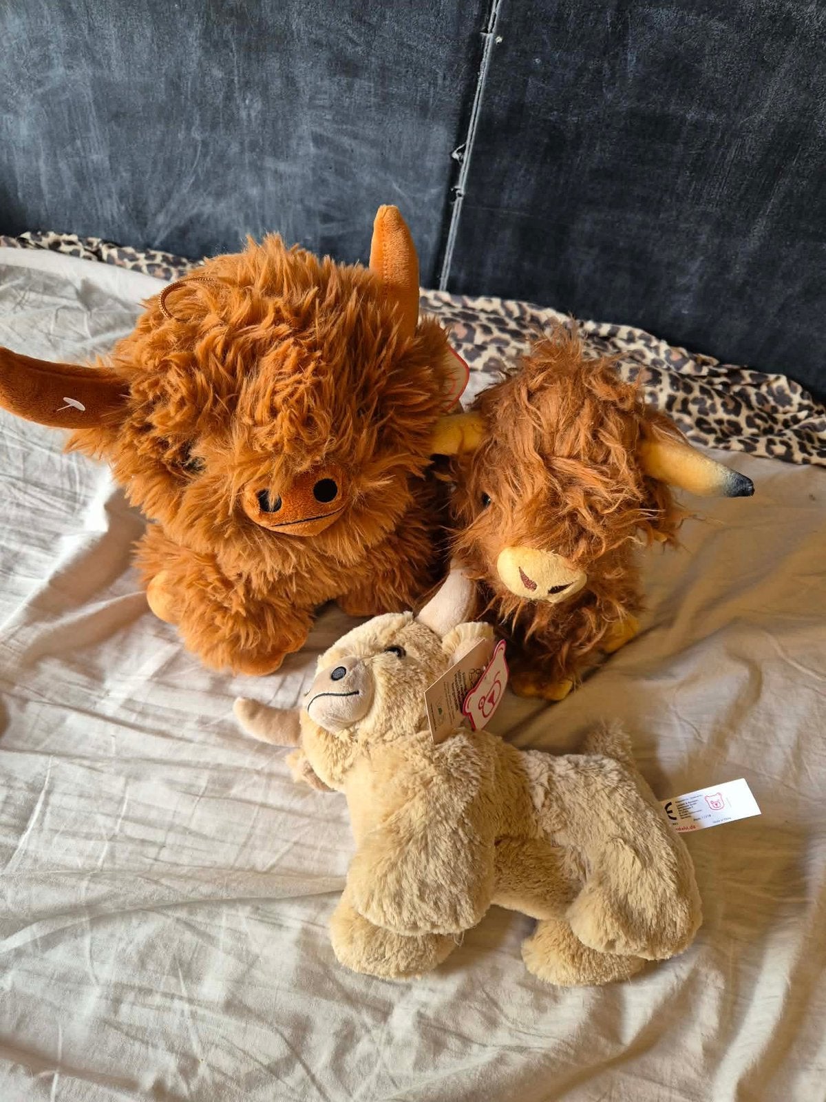 Highland koe knuffels (pakket), Overige karakters, Ophalen, Zo goed als nieuw, Koe