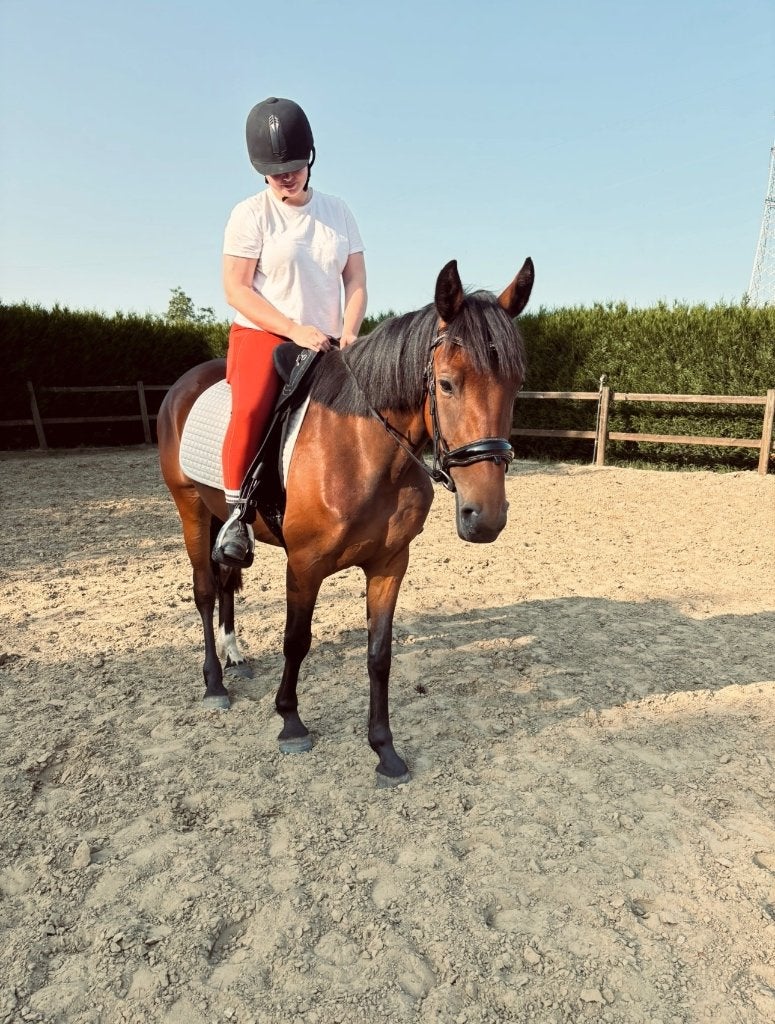 BWP Vita, Dieren en Toebehoren, Minder dan 160 cm, Zadelmak, 3 tot 6 jaar, Recreatiepaard