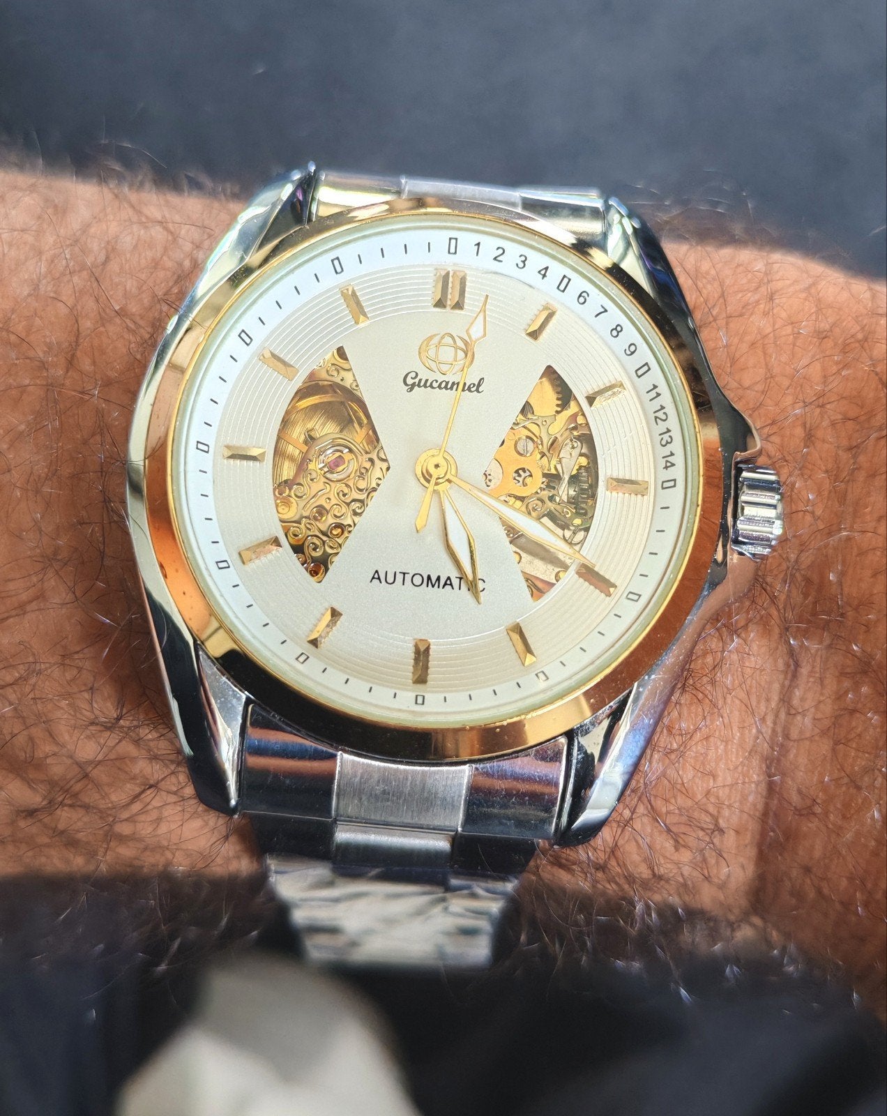 Montre Automatique Gucamel Homme Squelette – Neuve sous film, Bijoux, Sacs & Beauté, Envoi, État, Neuf, Argent