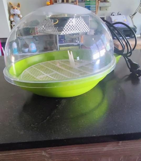 Broedmachine 80€, Dieren en Toebehoren, Ophalen, Broedmachine
