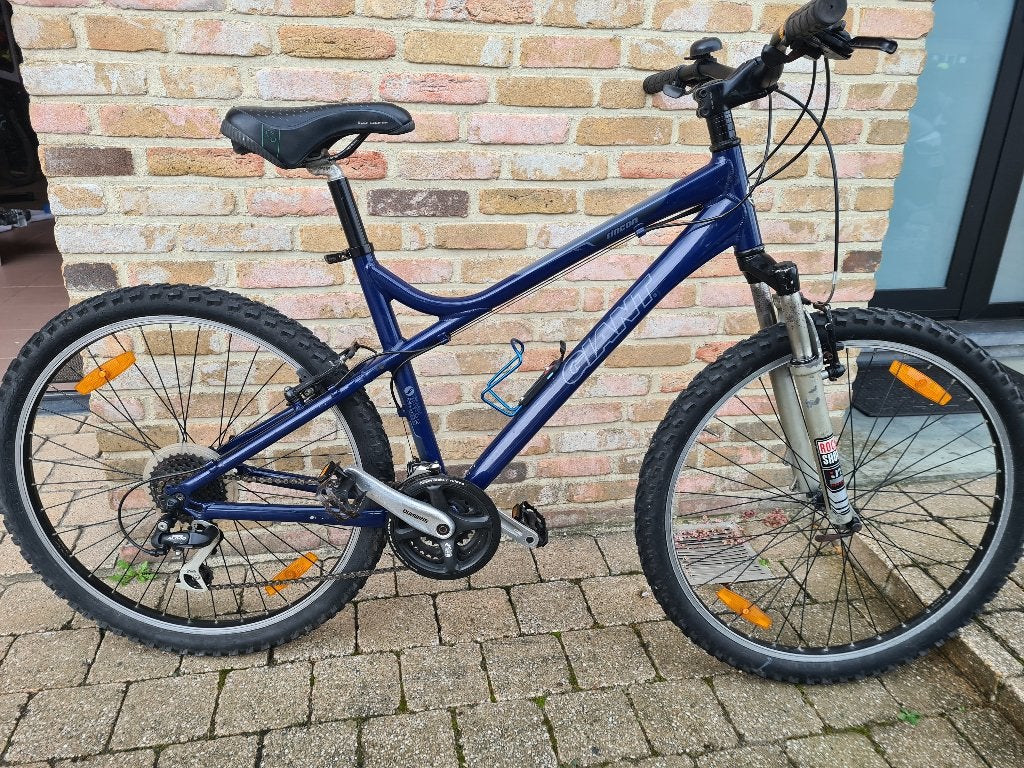 Giant Rincon mtb, Fietsen en Brommers, Ophalen, Hardtail, Velgrem, Giant